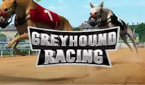 Greyhound Racing