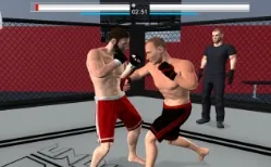 MMA